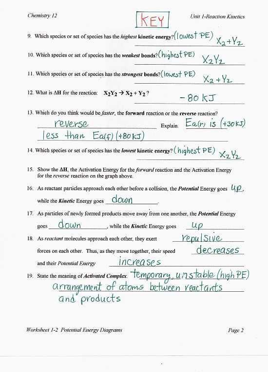 10th Grade Biology Worksheets With Answers Together With Thermal Energy