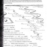17 Tide Talk Science Worksheet Answers In 2020 Science Worksheets