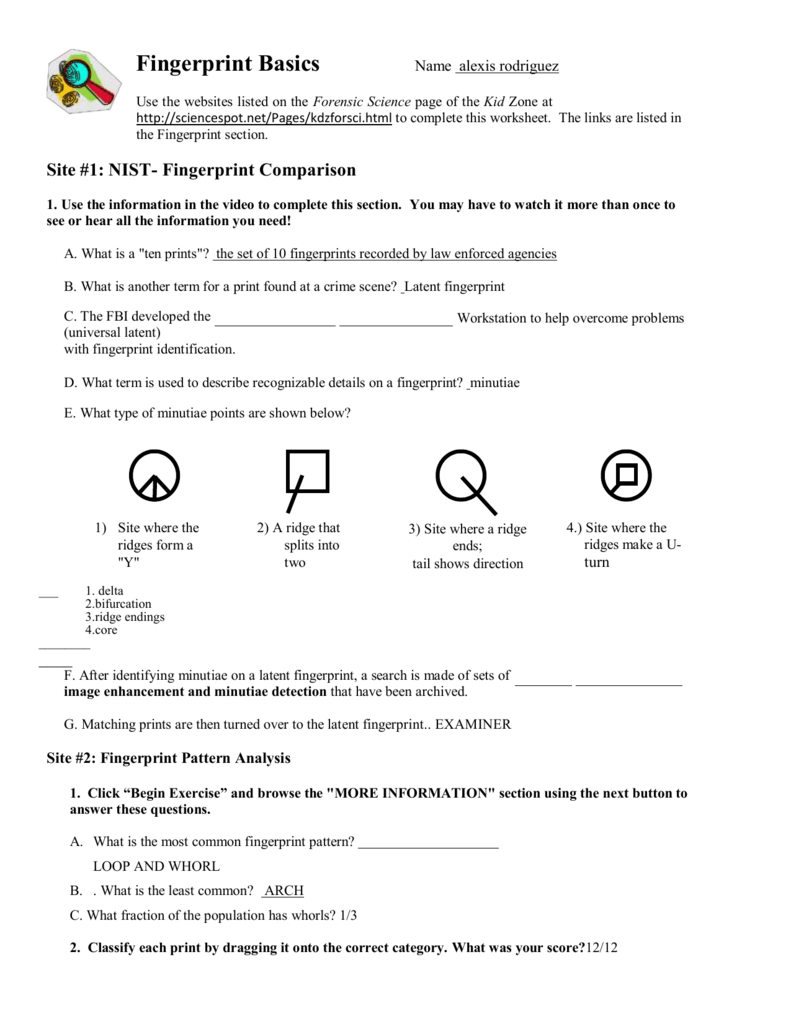 28 Fingerprint Basics Worksheet Answers Free Worksheet Spreadsheet