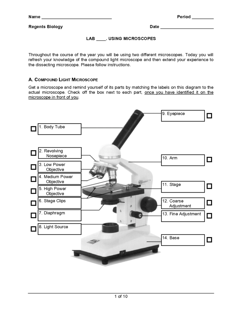 29 Microscope Lab Worksheet Answers Notutahituq Worksheet Information