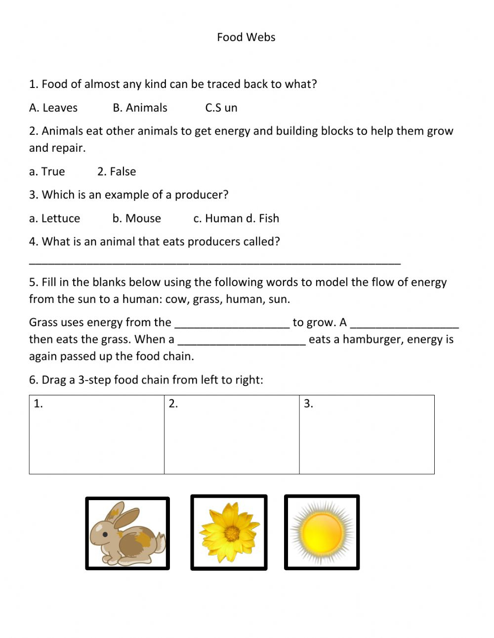30 Bill Nye Food Web Worksheet