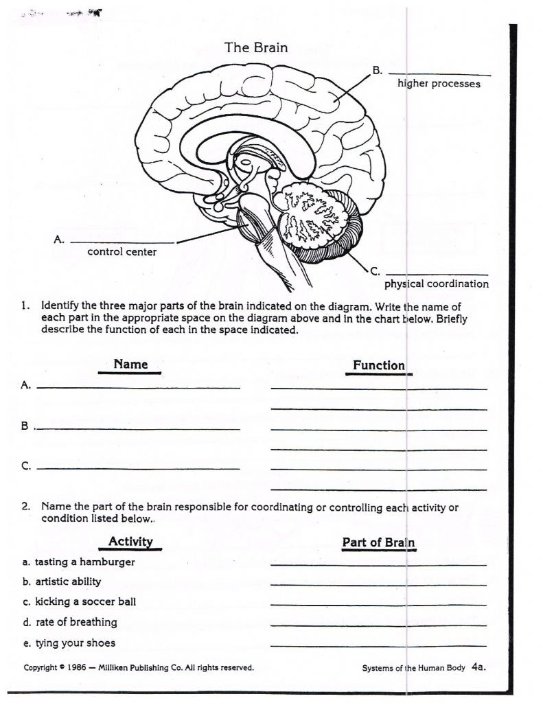 30 Bill Nye Magnetism Worksheet Answers Education Template
