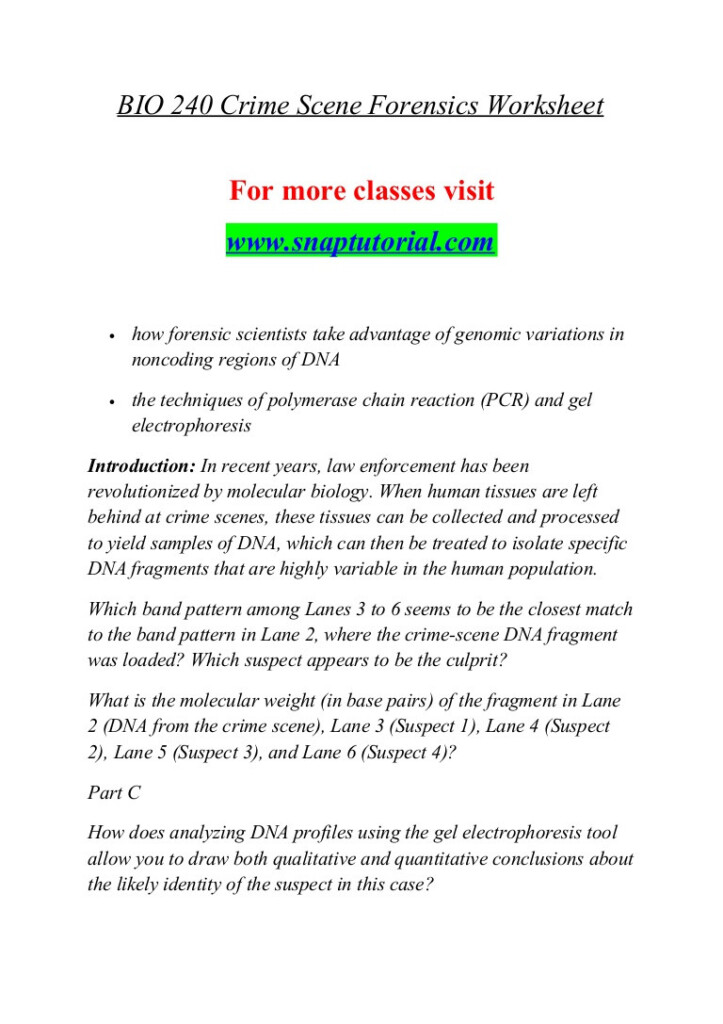 30 Dna Base Pairing Worksheet Answers Education Template