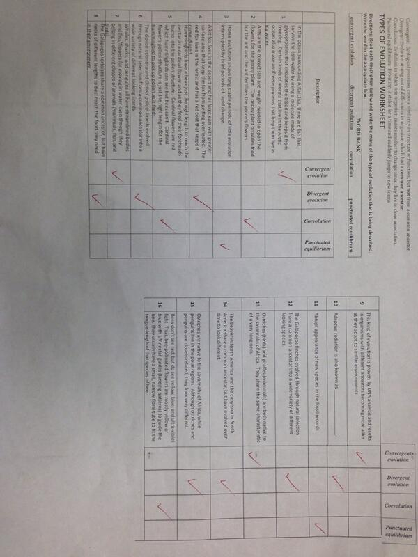 32 Types Of Evolution Worksheet Free Worksheet Spreadsheet