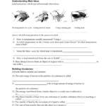 39 Heat Transfer Worksheet Answer Key Combining Like Terms Worksheet