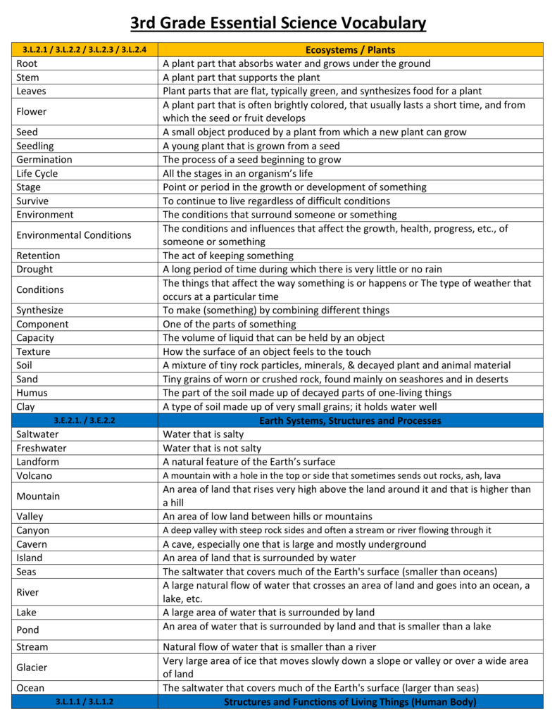 3rd Grade Essential Science Vocabulary