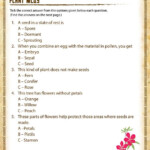 4 Grade Science Worksheets