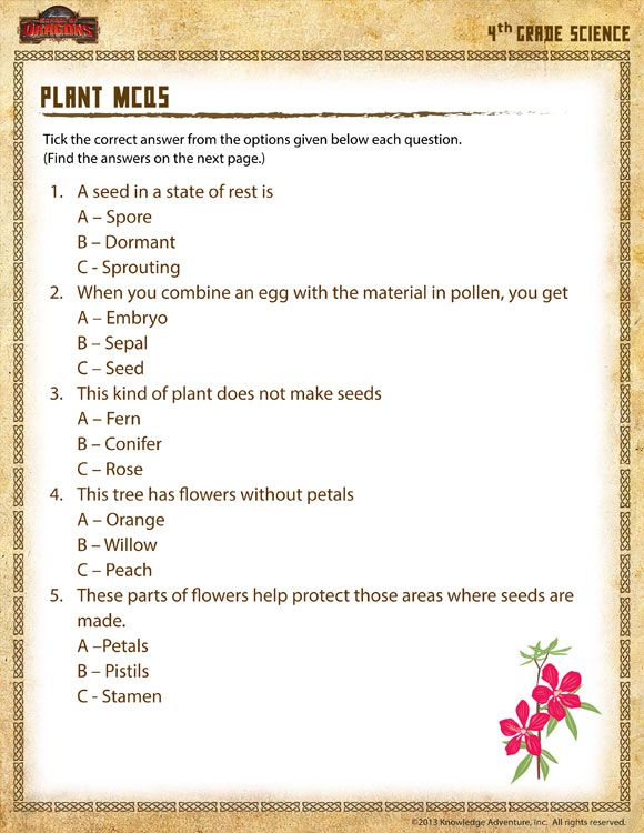 4 Grade Science Worksheets
