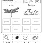 4th Grade Science Worksheets Best Coloring Pages For Kids