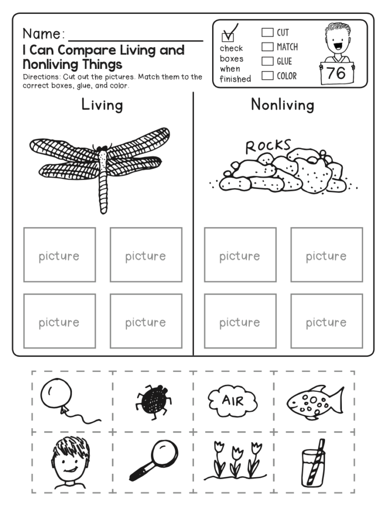 4th Grade Science Worksheets Best Coloring Pages For Kids