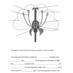 4th Grade Science Worksheets Best Coloring Pages For Kids