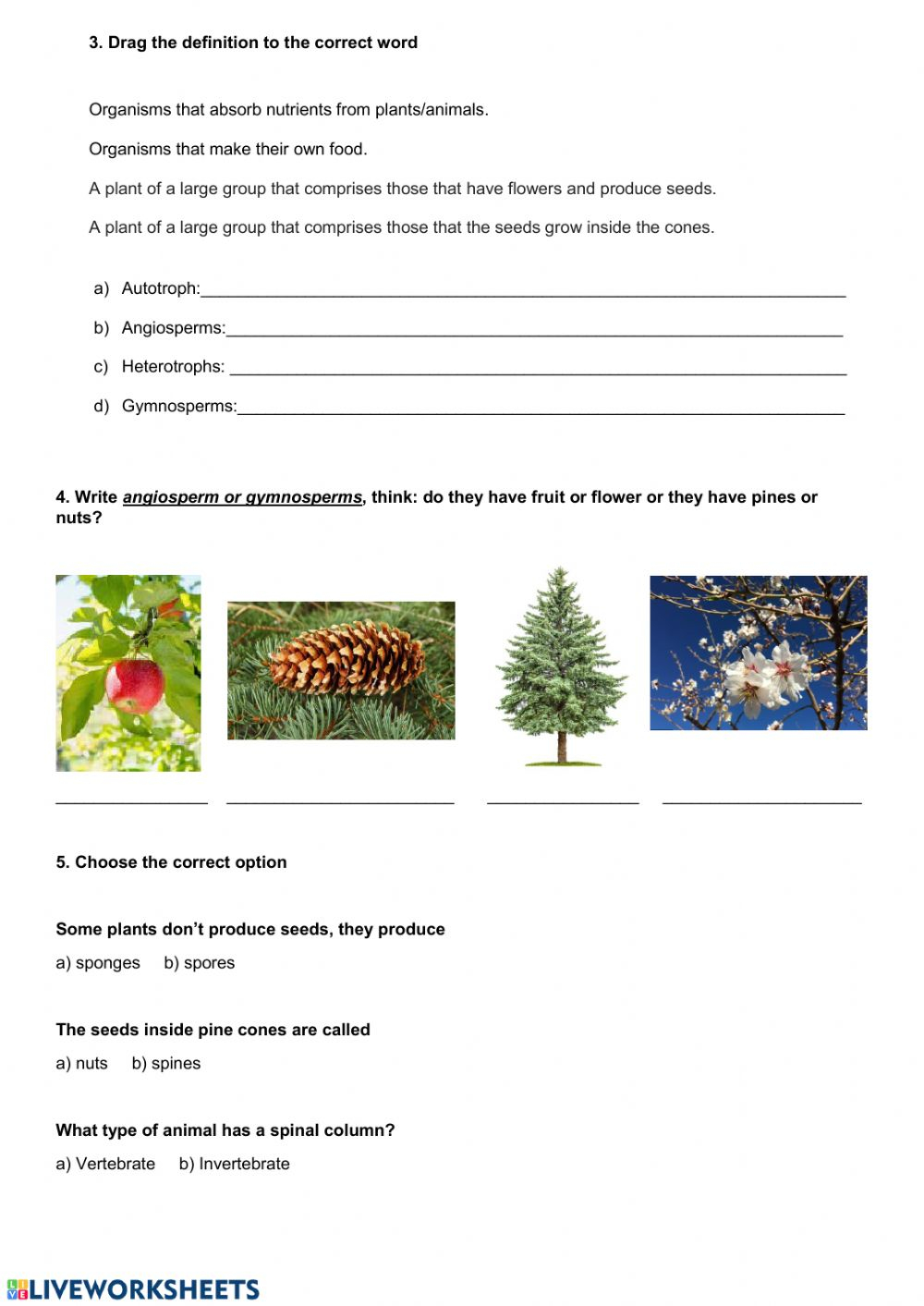 5 The Classification Of Living Things Unit 2 Worksheet