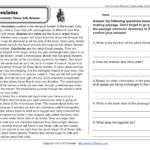 5th Grade Reading Comprehension Worksheets