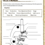 6th Grade Science Cells grade science cells Wissenschaftszellen