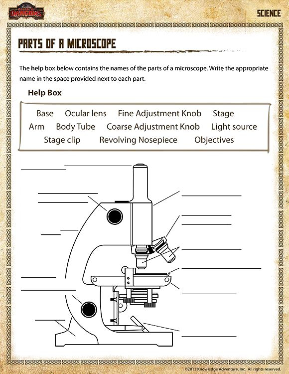 6th Grade Science Cells grade science cells Wissenschaftszellen