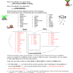 Abiotic Vs Biotic Factors Answer Key