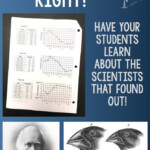 Analyzing Darwin s Finches Evolution Graphing Activity Biology