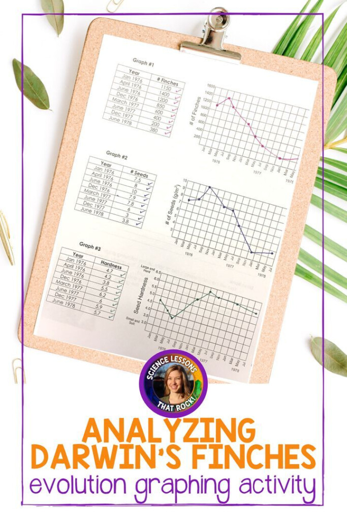 Analyzing Darwin s Finches Evolution Graphing Activity In 2021 