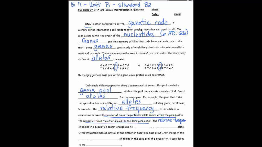Bio 11 Unit B Role Of DNA In Evolution YouTube