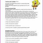 Biology Science Skills Worksheet Answer Key Worksheet Resume