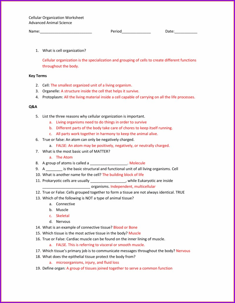 Biology Science Skills Worksheet Answer Key Worksheet Resume