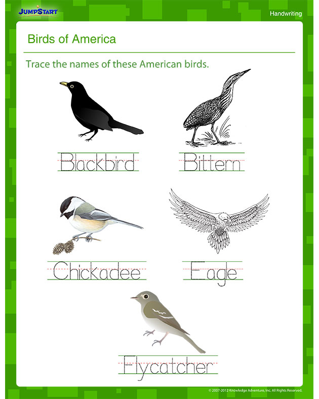 Birds Of America Printable Handwriting Worksheet JumpStart