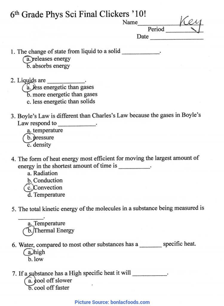 Briliant 6Th Grade Science Lessons Free Worksheets For All Download 