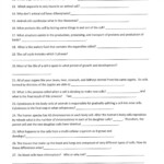 Cellular Transport Worksheet Answer Key Cellular Transport Worksheet