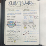 Climate And Weather Graphic Organizer Weather Science Weather And