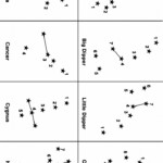 Constellations For Kids Worksheets 99Worksheets