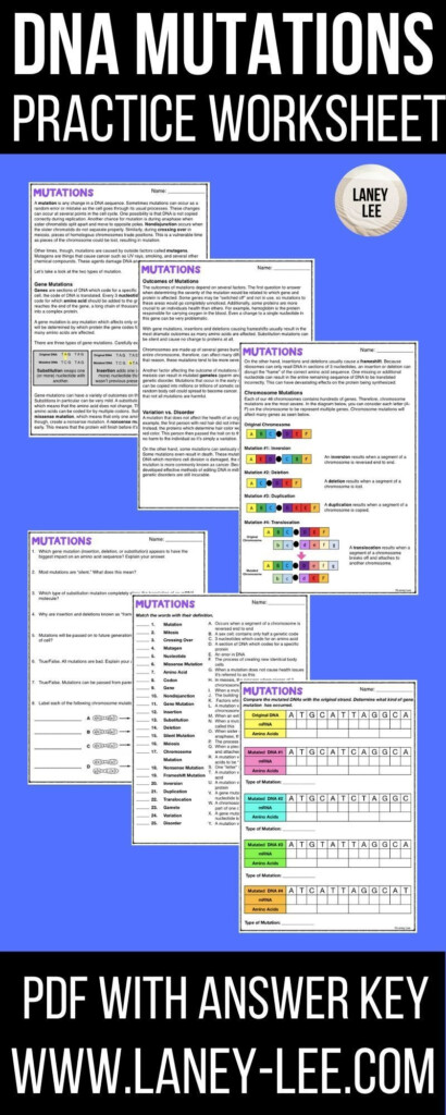 DNA Mutations Practice Worksheet With Answer Key Laney Lee In 2021 