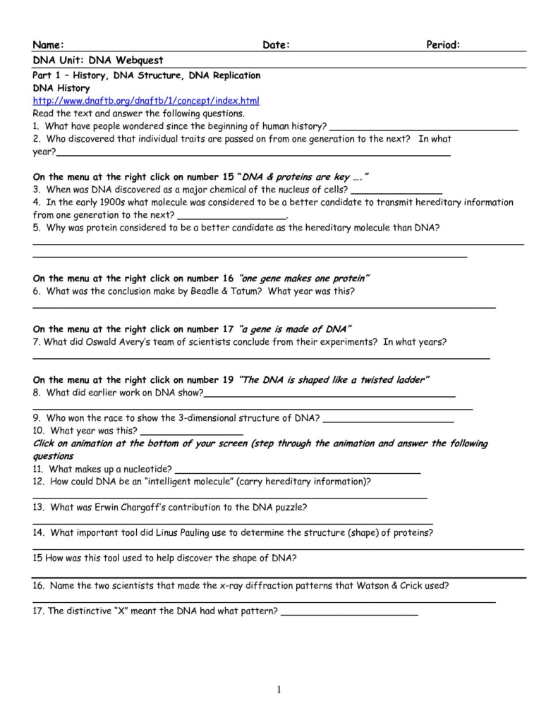 Dna Replication And Transcription Worksheet Answers