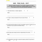 Energy Transformation Worksheet Middle School Inspirational 15 Best Of
