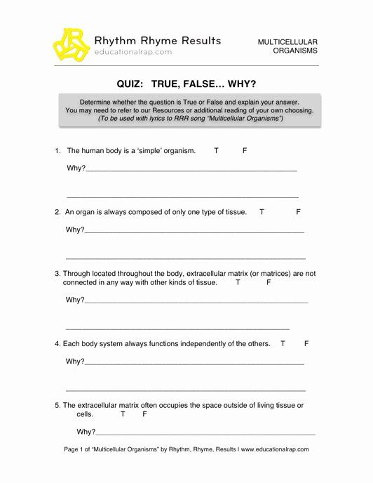 Energy Transformation Worksheet Middle School Inspirational 15 Best Of 