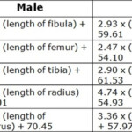 Forensic Bones Worksheet Answers Promotiontablecovers
