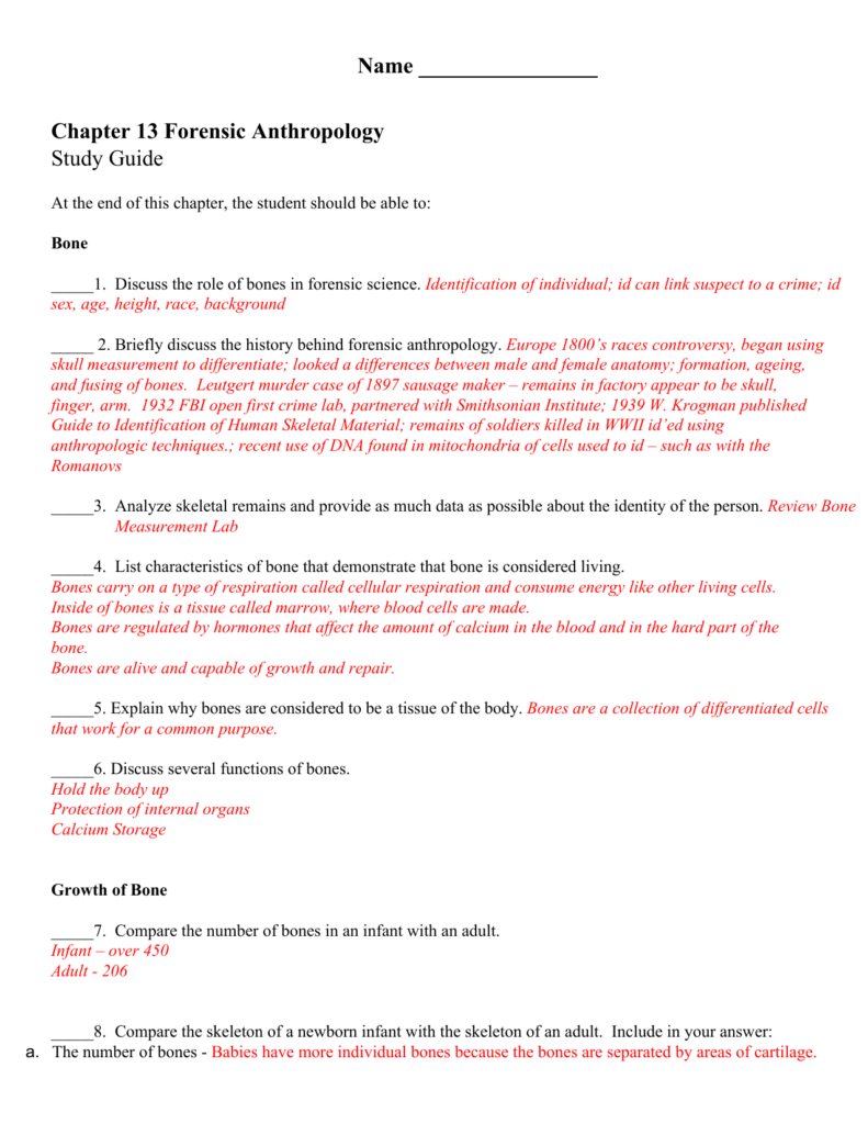 Forensic Bones Worksheet Answers Worksheet List