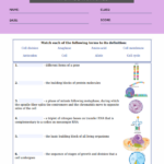 Free 7th Grade Science Worksheets Pdf Grade 7 Worksheets Free