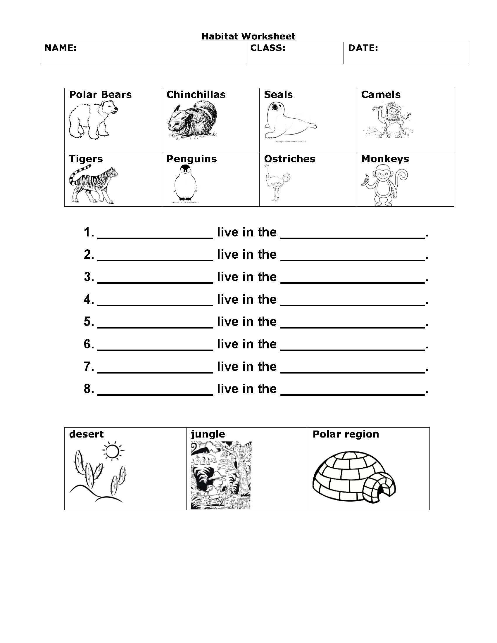 Free Printable 1st Grade Science Worksheets Learning How To Read