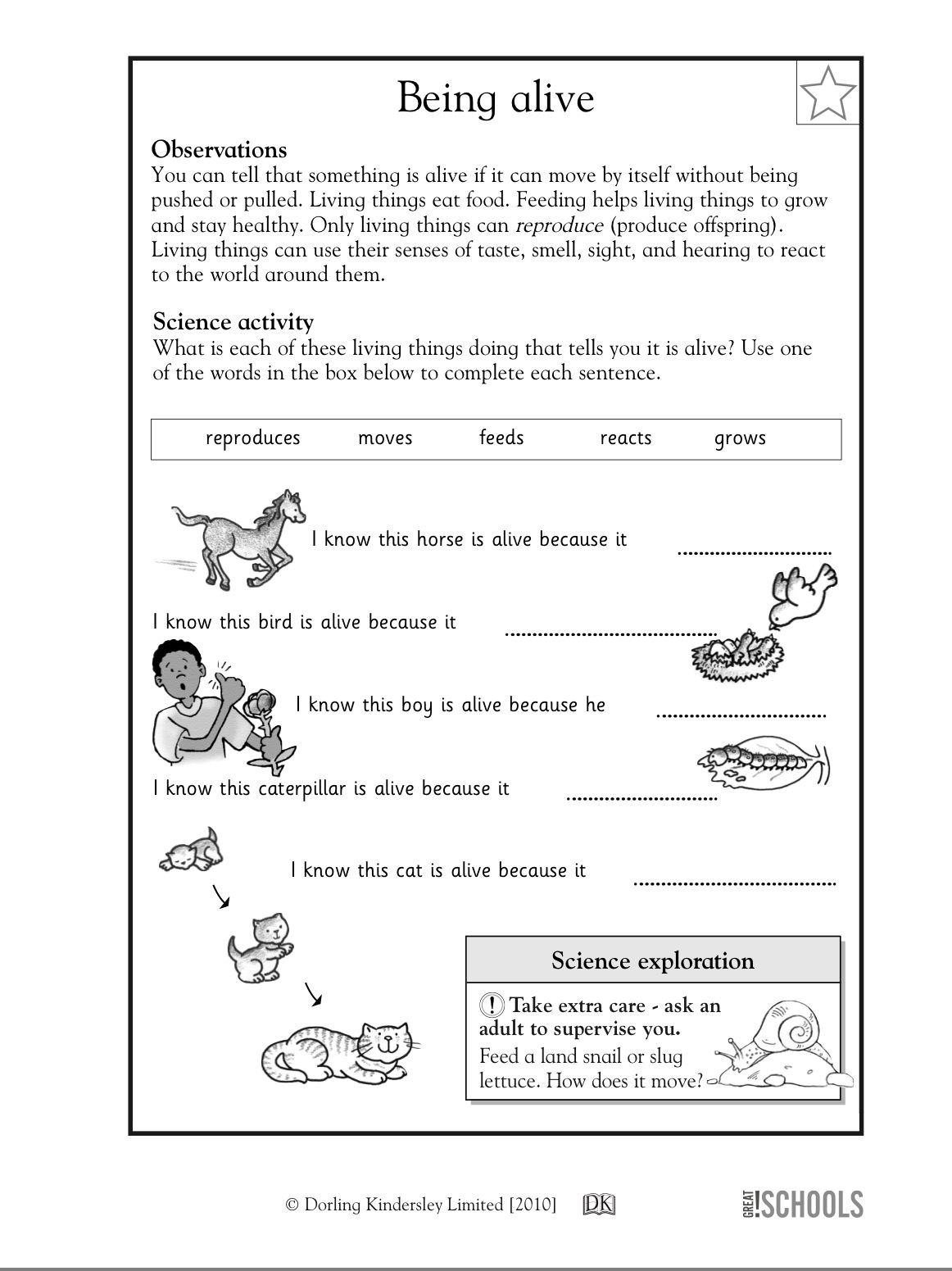 Free Printable 4th Grade Worksheets On Direct Objects