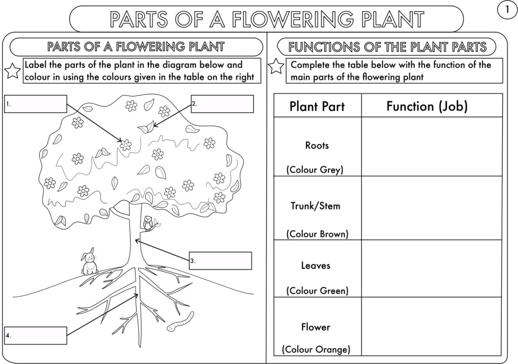 Free Printable Science Worksheets For Grade 2 Free Printable