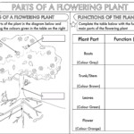 Free Printable Science Worksheets For Grade 2 Free Printable