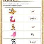 Free Printable Science Worksheets Pdf Who Am I 3rd Grade Printable