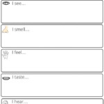 Free Science Worksheets For Kids Free Science Worksheets Science
