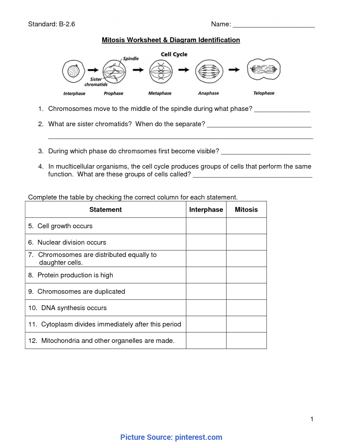 Good Lesson Plan For Life Science Grade 11 Mitosis Worksheet Cells
