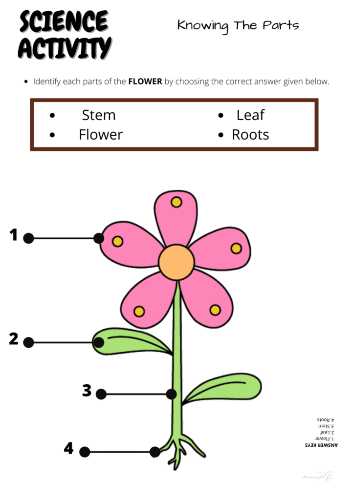 Grade 1 Science Activity Sheets Living And Non Living Things 1 