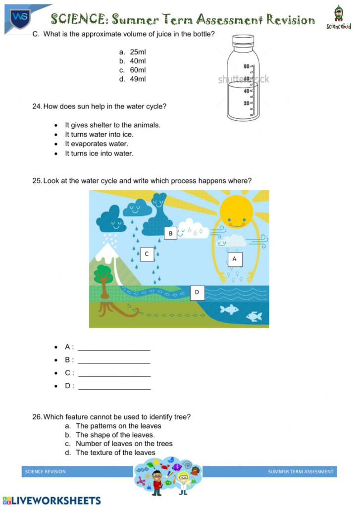 Grade 3 Science Worksheet