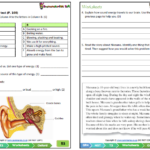 Grade 4 Natural Science Technology NST Term 3 Oxford Textbook