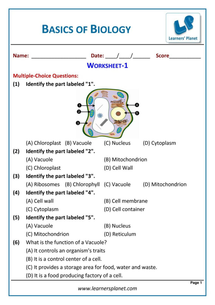 Grade 6 Science Olympiad Basics Of Biology Magazine