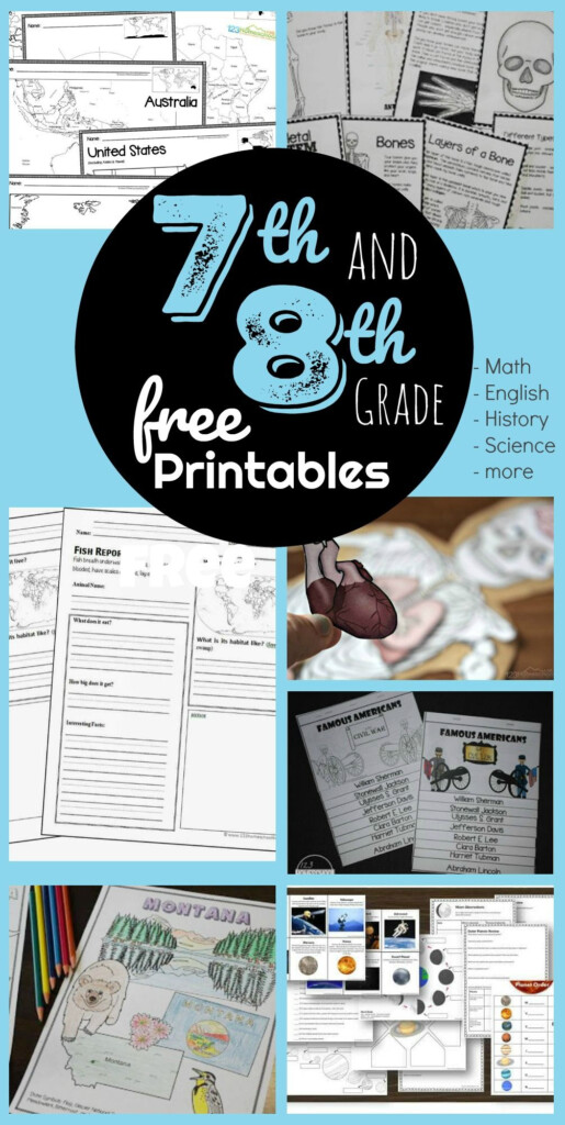 Grade 7 7th Grade Science Worksheets Free Thekidsworksheet