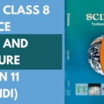Grade 8 Science Pressure Worksheet Answers A Worksheet Blog